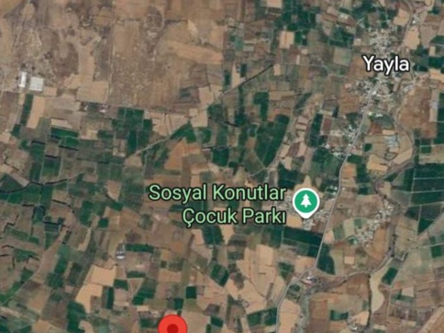 Güzelyurt Yayla'da 13.045 m² Konut İmarlı Arsa - Yatırım Fırsatı!