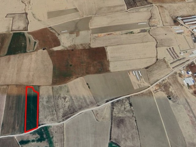 Balıkesir'de Satılık Türk Koçanlı 8 Dönüm Arazi