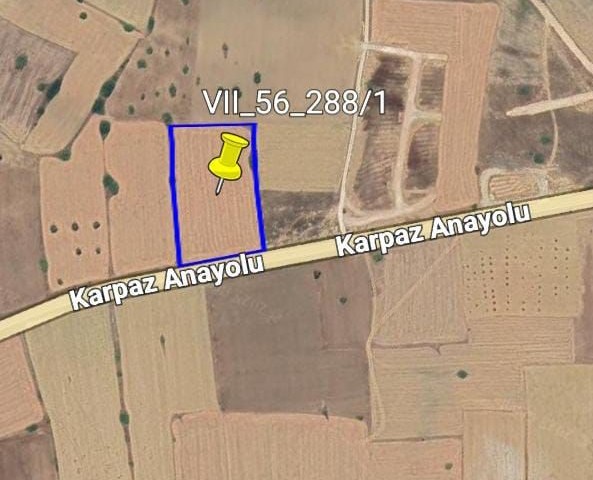 🚩🚩satılık Fırsat Fiyatta💰💰 Fırsat Arazi İskele/bafra Karpaz Ana Yoluna Sıfır Yatırımlık 7 Dönüm Arazi🏘️💼 - Fotoğraf 2