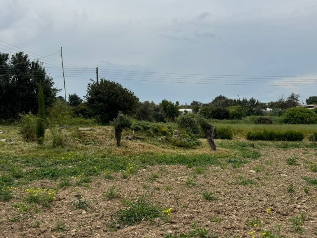 2.514 m² Arsa