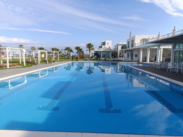 Aphrodite Beachfront Resort 2+1 Daire - Fotoğraf 2