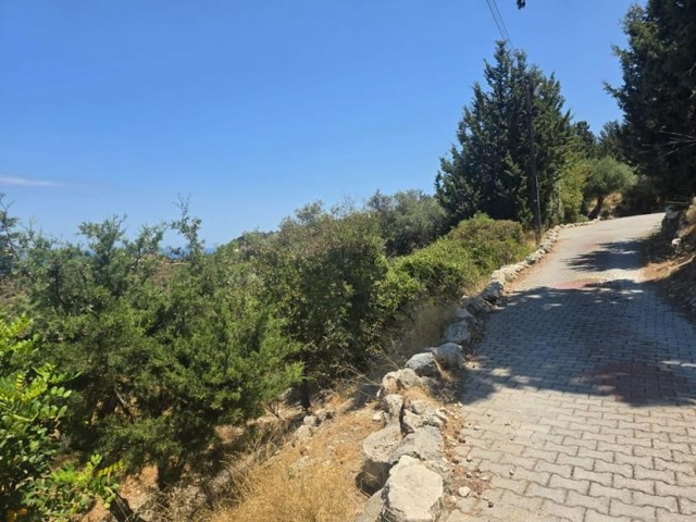 Satılık Arsa Lapta - 2 Dönüm 1 Evlek - Fotoğraf 2