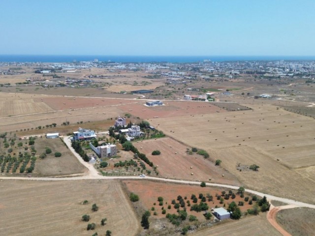 Satılık Arazi 2.5 Dönüm - Fotoğraf 2