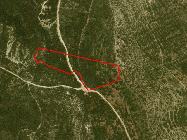TÜRK TAPULU 16 DÖNÜM ARAZİ DENİZ MAZARALI 100.000GBP