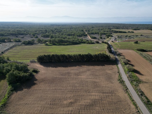 Girne Akseniz’de Satılık  4288 m² Türk Tapu Fırsat Arazi
