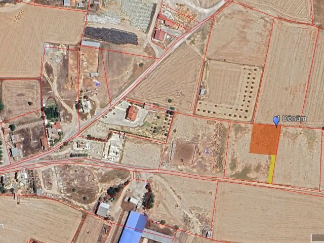 Dilekkaya Lefkoşa'da Satılık 1 Dönüm Türk Malı Geçit Hakkı Bulunan Arsa - Fotoğraf 2