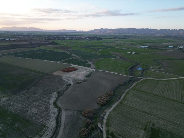 İskele Aygün'de Satılık 12 Dönüm 1 Evlek Arazi - Fotoğraf 2