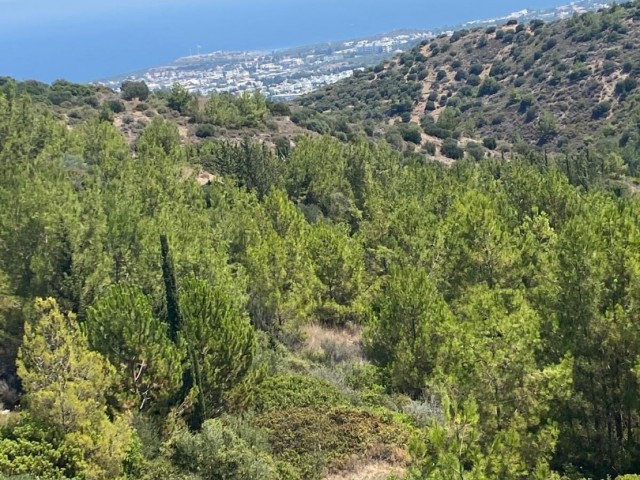 Girne Karaman’da Proje Onaylı 4 Dönüm Arsa Kat Karşılığı - Fotoğraf 3