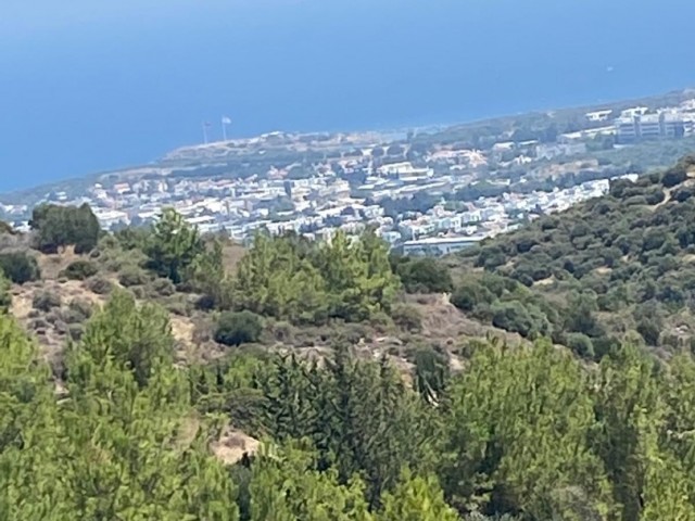 Girne Karaman’da Proje Onaylı 4 Dönüm Arsa Kat Karşılığı - Fotoğraf 4