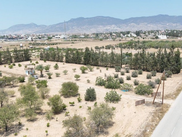 Serdarlı da Anayol Üzeri Tüm Alt Yapılara Sahip Yüksek Kat İmarlı Arsa Nitelikli Hazır Bahçe - Fotoğraf 1
