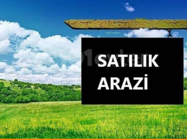 Vadili'de Türk Koçanlı 8 Dönüme Yakın Fırsat Arazi