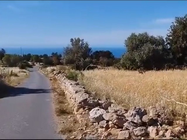 Sipahi'de Tüm Alt Yapılara Sahip Site Ve Konut Yapımına Uygun İmara Açık 8 Dönüm Fırsat Arazi - Fotoğraf 2
