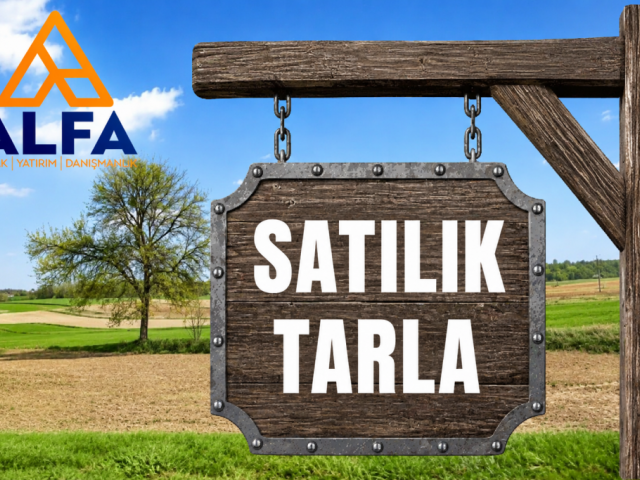 SERDARLI YANIK BELENK SATILIK TARLA