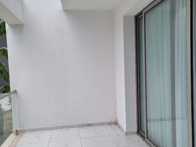 Lapta, havuzlu bir komplekste satılik 1+1 daire - Fotoğraf 2