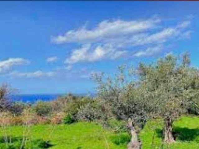 Girne, Karaoglanoglunda Satilik Arsa - Fotoğraf 2