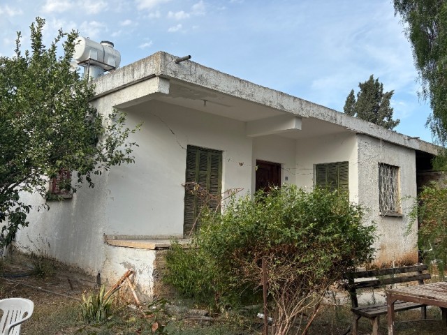 Lefkoşa Demirhan İmarlı Arsa 996 M2 - Fotoğraf 3