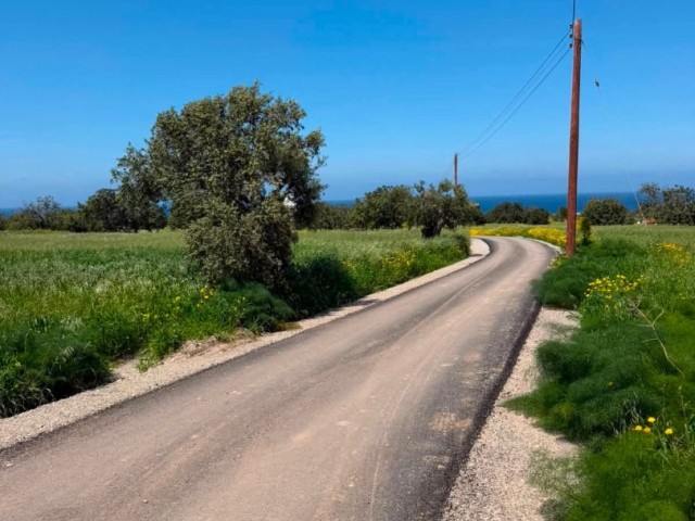 Gazimağusa Tatlısu da 5780 M2 İmarlı Arsa - Fotoğraf 3