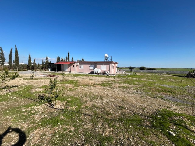 Lefkoşa Gaziköy 4+1 Müstakil Ev - Fotoğraf 1