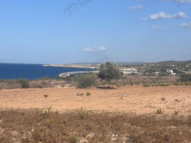 Kuzey Kıbrıs Karpaz Yeni Erenköy Arkın Karpaz Gate Marina Yakını Satılık Türk Koçanlı-imarlı-alt Yapılı Kısmi Takasa Açık Arazi ! - Fotoğraf 3