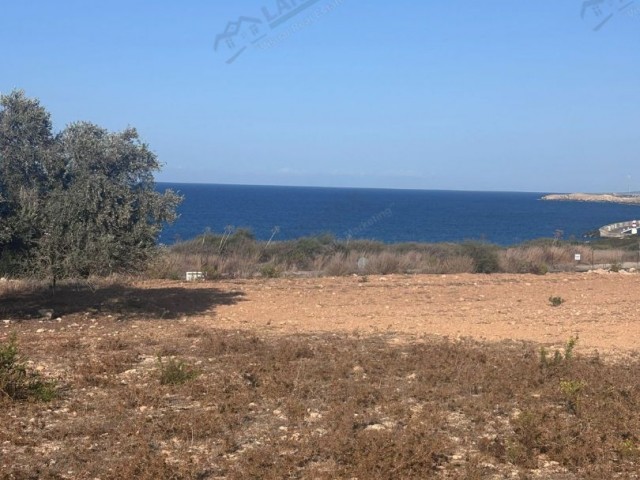 Kuzey Kıbrıs Karpaz Yeni Erenköy Arkın Karpaz Gate Marina Yakını Satılık Türk Koçanlı-imarlı-alt Yapılı Kısmi Takasa Açık Arazi ! - Fotoğraf 4