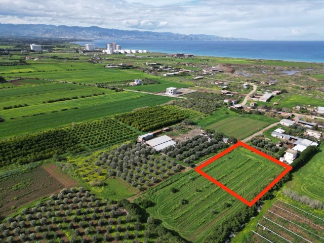 LEFKE/GAZİVEREN DE TÜRK KOÇAN KAT KARŞILIĞI 1785 m2 ARSA..0533 859 21 66