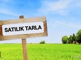 Türkeli Bölgesinde Satılık Tarla - Fotoğraf 2
