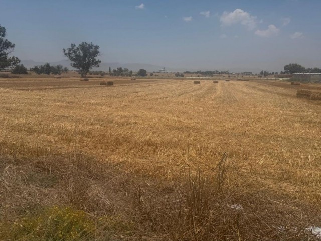 Mağusa Akdoğan Bölgesinde SATILIK ARSA