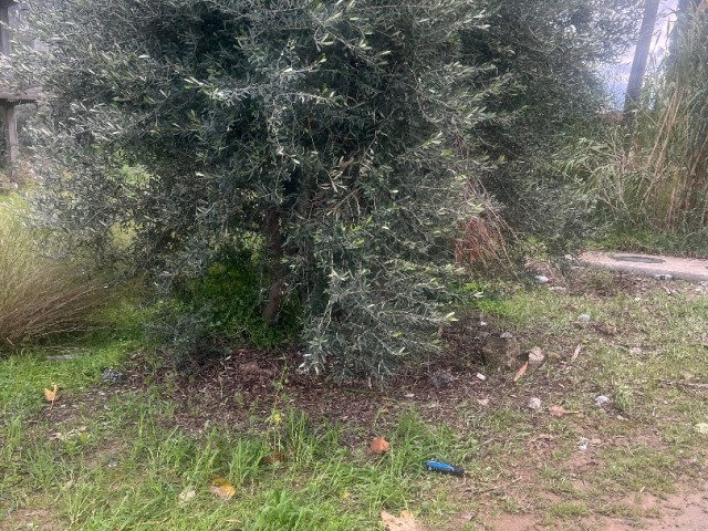 Karsiyaka yol kenari satilik arsa - Fotoğraf 1