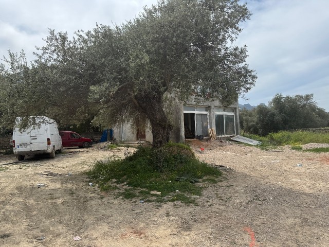 Ozankoy 1,5 donum satilik arsa - Fotoğraf 1