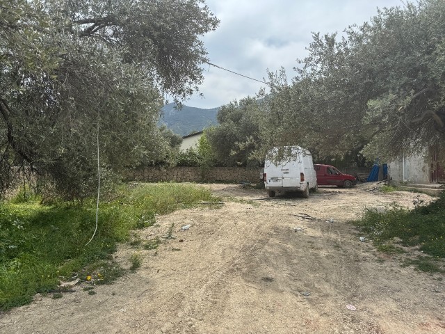 Ozankoy 1,5 donum satilik arsa - Fotoğraf 2
