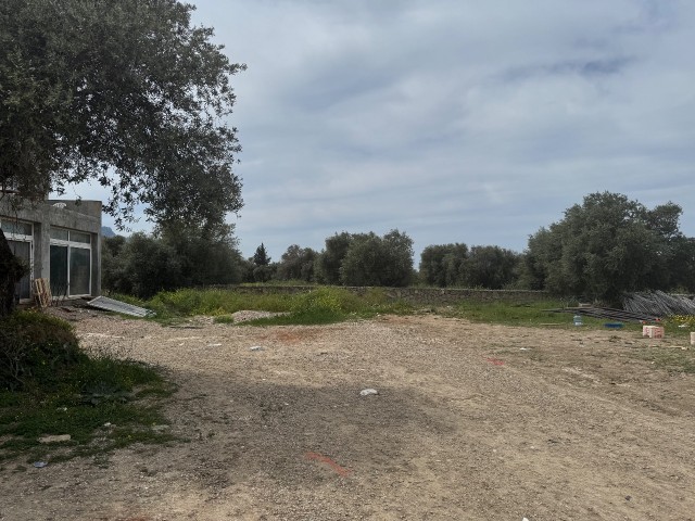 Ozankoy 1,5 donum satilik arsa - Fotoğraf 3