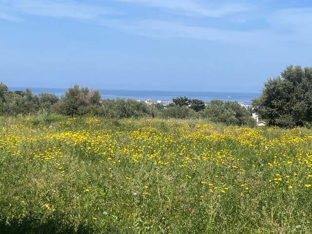 Karsiyaka 2.64 donum satilik arsa denize yakin - Fotoğraf 3