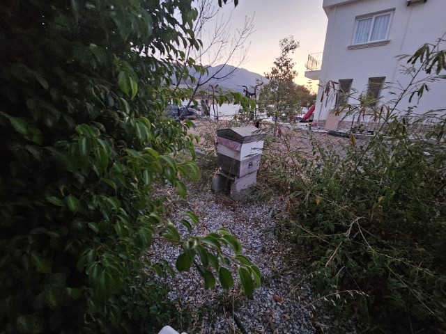 Satılık Alsancak 3+1 Villa Havuzlu Geniş Bahçeli (5kwa Elektrik Paneli Var) - Fotoğraf 1