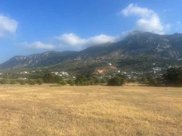 Karsıyaka 2 donum arsa satılık - Fotoğraf 3