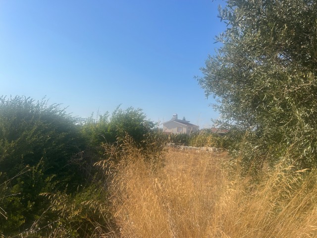 Karsıyaka 2 donum arsa satılık - Fotoğraf 4