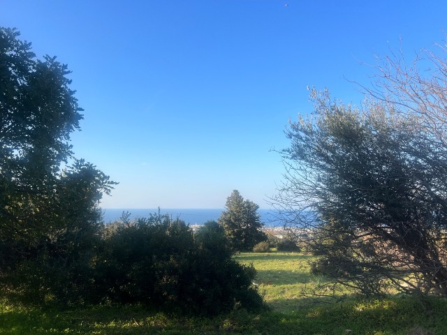 Catalkoy 11 donum satilik arsa - Fotoğraf 2