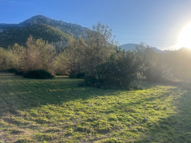 Catalkoy 11 donum satilik arsa - Fotoğraf 3