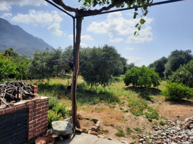 Karsıyaka Girne Satılık Tarla denize yakın - Fotoğraf 2