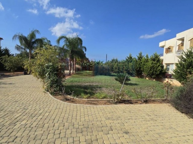 Deniz Manzaralı Villa, Mehmetçik, İskele, Kuzey Kıbrıs Satılık Emlaklar - Fotoğraf 3