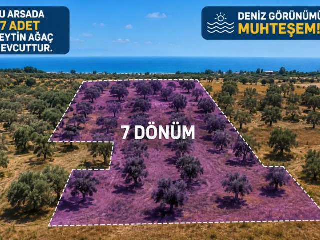 Yeni Erenköy Satılık Arsalar!!!