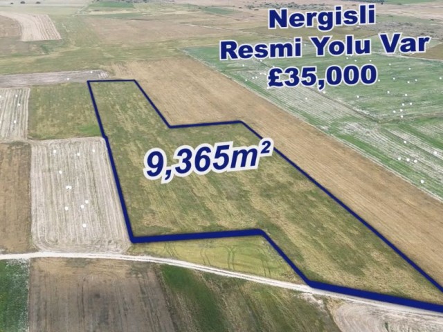 Nergisli'de Resmi Yolu Bulunan Satılık 7 Dönüm Arazi