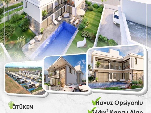 Ötükenin Kalbinde Yeni Bir Yaşam Başlıyor - Fotoğraf 1