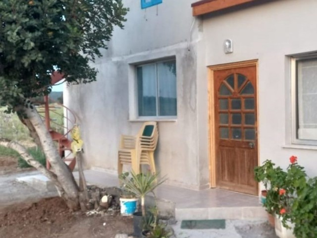 Girne, Akdeniz'de 14 dönüm arazi içerisinde üzüm bağı ve bağ evi. tüm arazi tellenmiştir. 0533840355 - Fotoğraf 4