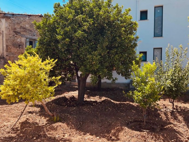 Girne, Alsancak, Malatya'da mükemmel dağ ve deniz manzarasına sahip, modern ve çok az kullanılmış 3 yatak odalı eşyalı villa. 05338403555 - Fotoğraf 1