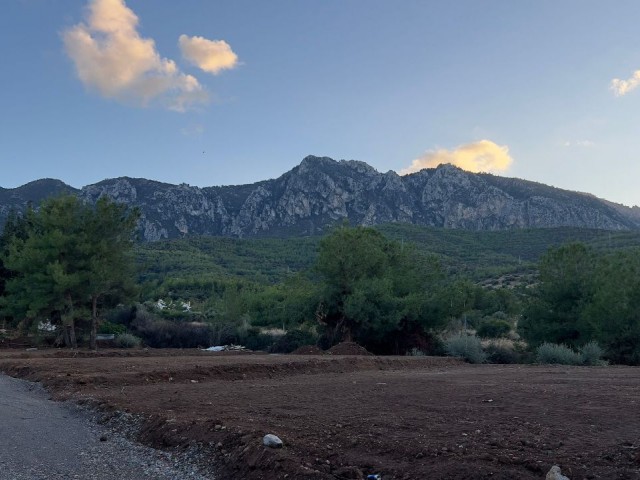 Fiyatı Düştü!!! Girne, Edremit çevre yolu üzerinde 5776m2 5 2 kat imar. satılık arazi 05338403555 - Fotoğraf 2