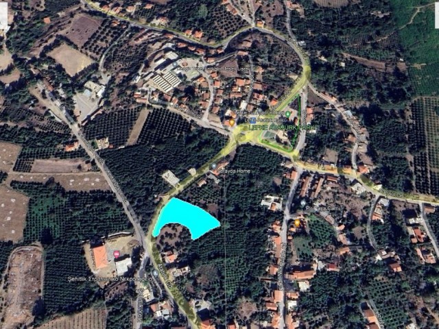 Lefke köy içinde meyve ağaçları ve su kuyusu olan Türk koçanlı 3 dönüm (4000m2) konut imarlı arazi.05338403555 - Fotoğraf 4