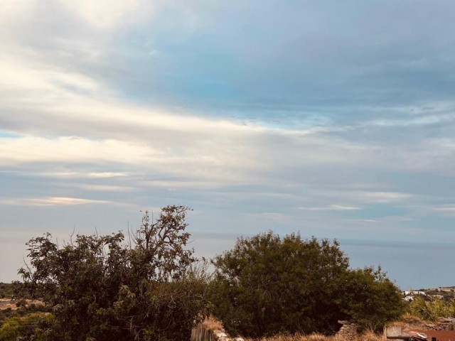 Girne, Kayalar köyünde önü kesilmez manzaralı 2050m2 (1 dönüm 2 evlek 475ay2) Eşdeğer koçanlı arazi. 05338403555 - Fotoğraf 4