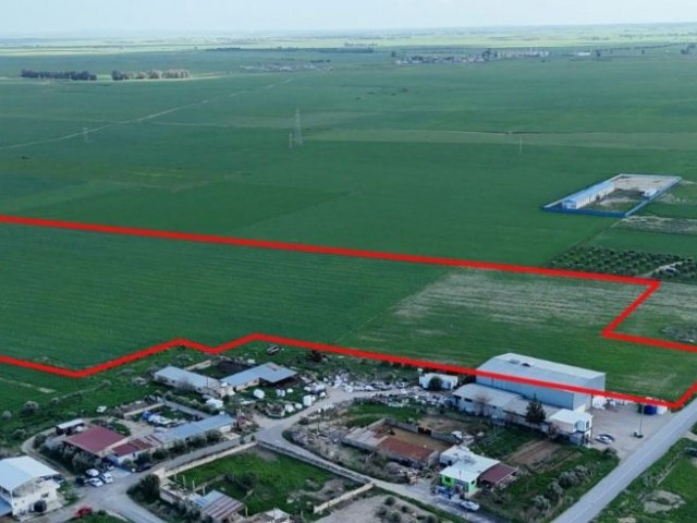Mağusa/Ulukışla Bölgesinde Satılık Ticarili Depo Yapımına Uygun 56 Dönüm Arazi! Gelişen Bölge Dağıtım Merkezi Ulukışla Bölgesinde Yerinizi Hemen Ayırın! - Fotoğraf 3