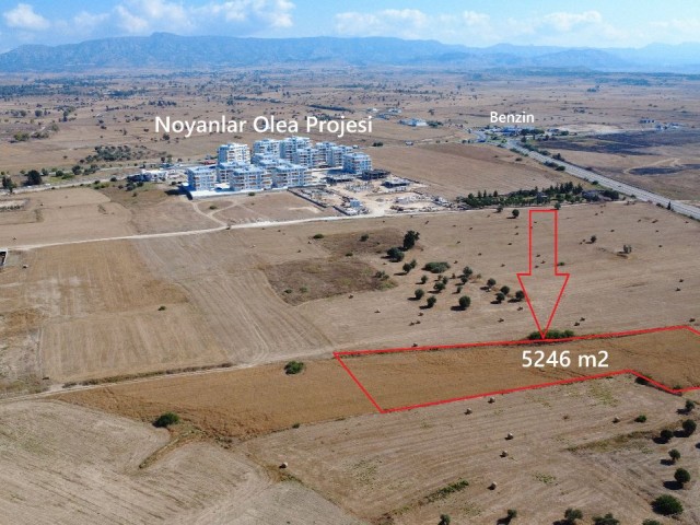 GEÇİTKALE'DE APARTMAN SİTE VE PARSELASYON YAPIMINA UYGUN SATILIK 5246 m2 TARLA