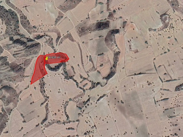 İskele Turnalar Satılık Arazi - Fotoğraf 2